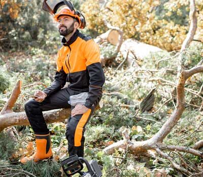 Favágás, gallyazás