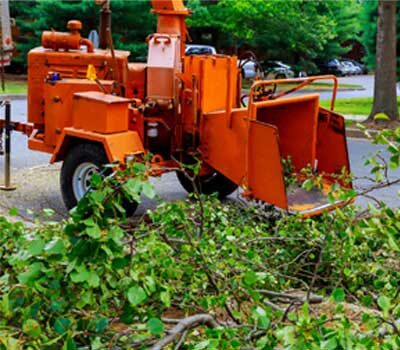 Zöldhulladék elszállítás és ágaprítás